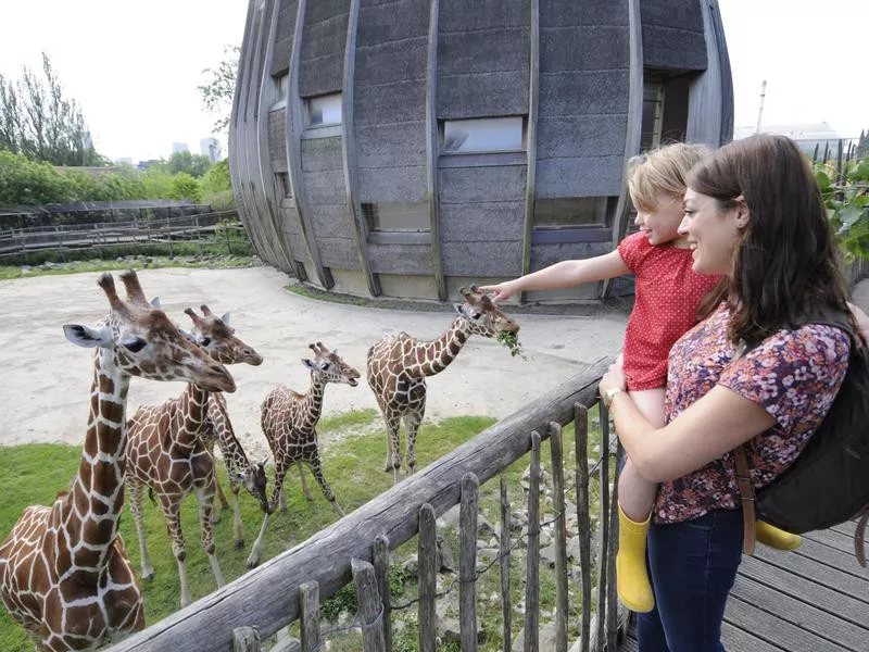 Rotterdam Zoo