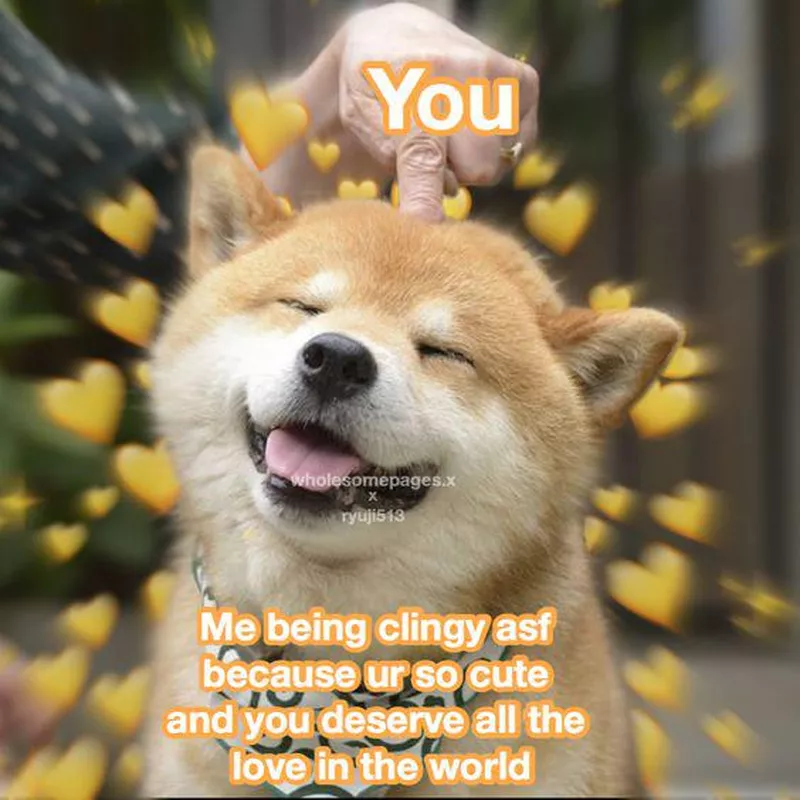 Happy Shiba Inu