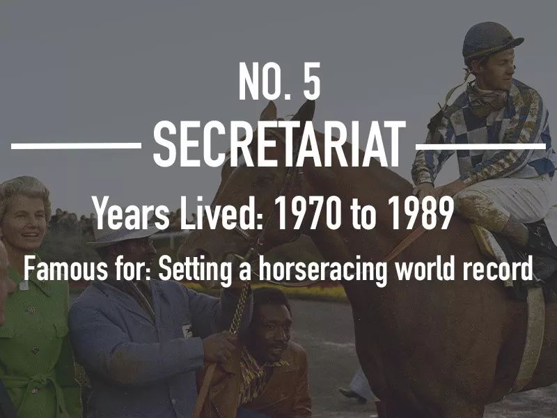 Secretariat