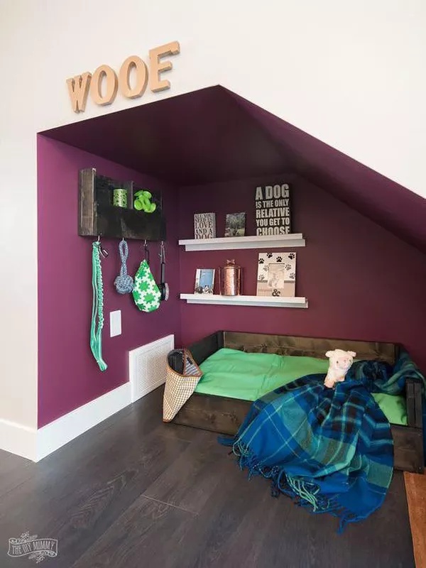 Cute Dog Room Ideas