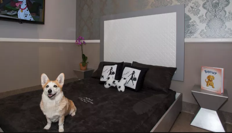 Posh Pet Hotel