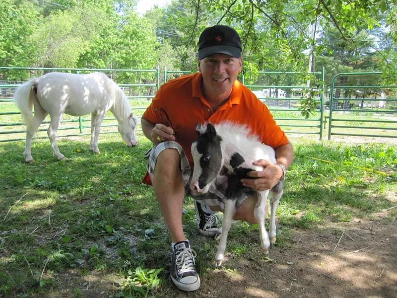 Einstein the horse with his owner