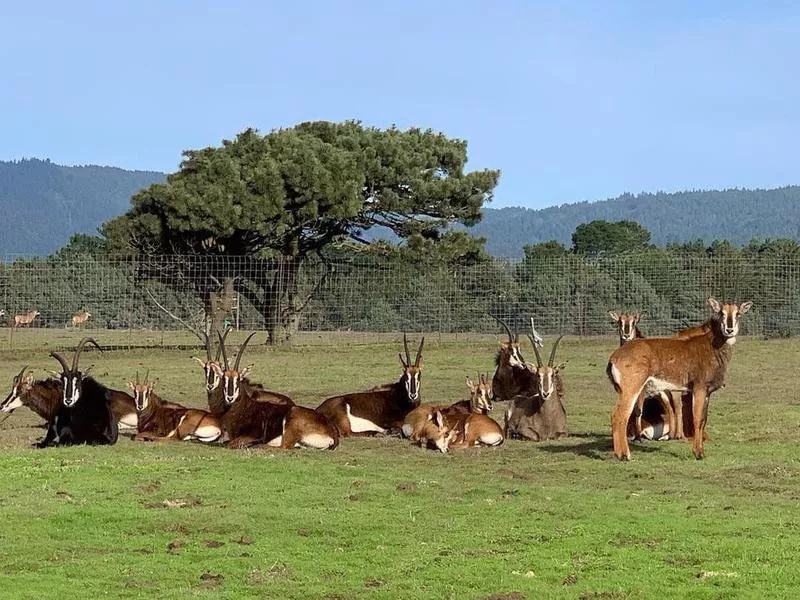 B. Bryan Preserve