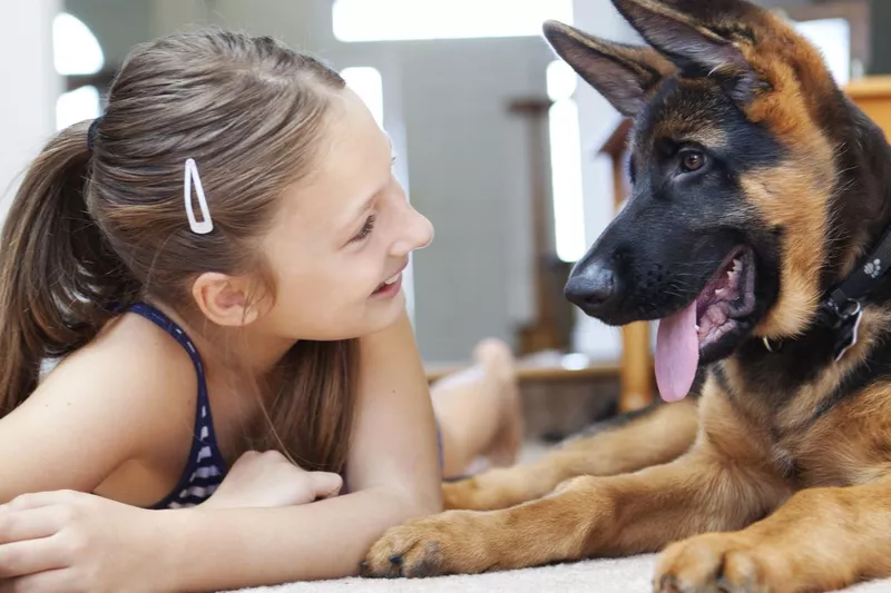 Friendship between a child and her puppy