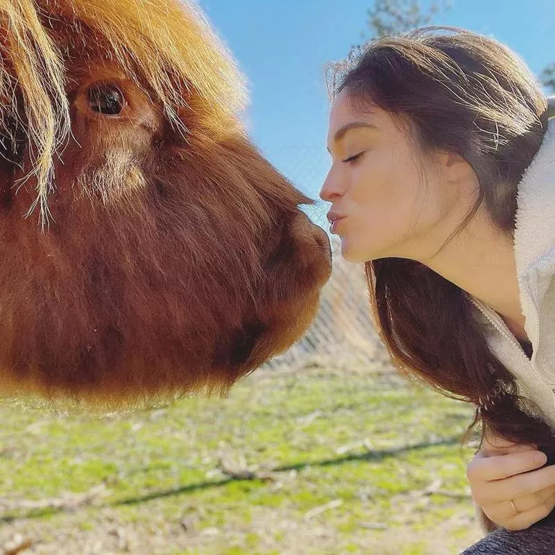 Woman with her pet cow