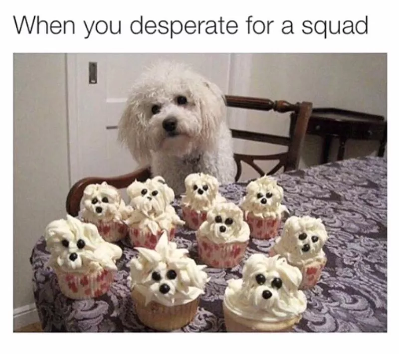 Dog cupcakes