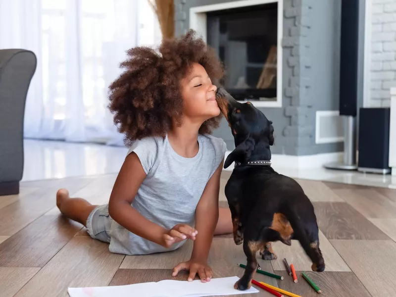 Cute little girl lying on floor playing with dog