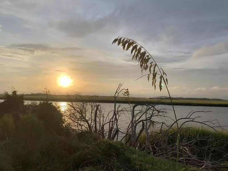 Bald Head Island shoreline