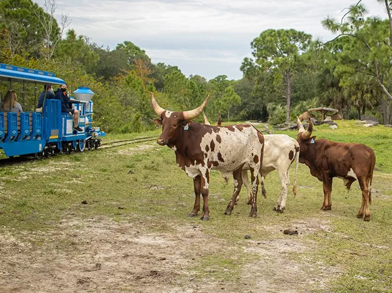 Brevard Zoo