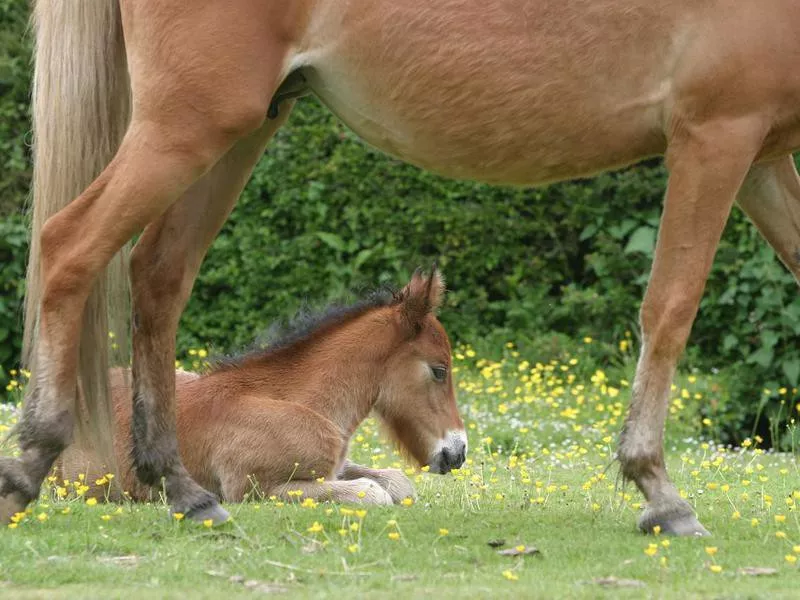 Framed by mum