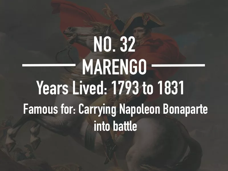 Marengo