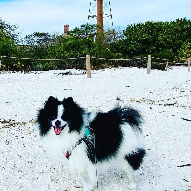 Sanibel Island, Florida