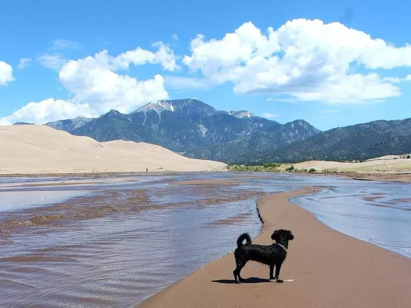 Great Sand Dunes National Park and Preserve