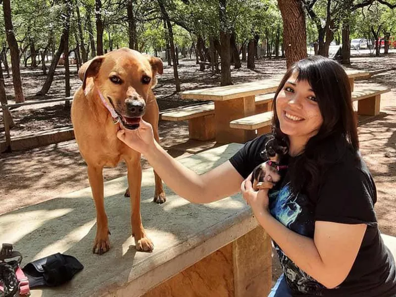 Dog Park at Phil Hardberger Park