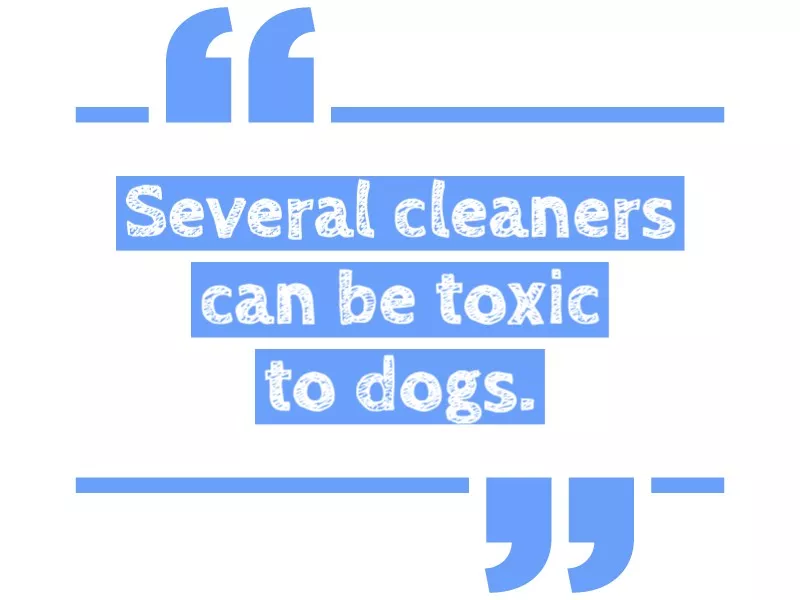 Dangerous for dogs to eat cleaning supplies