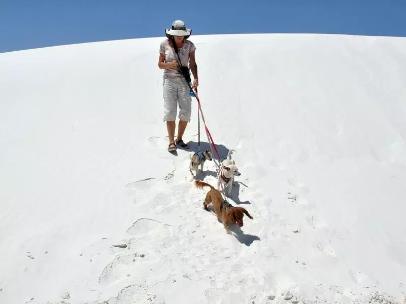 White Sands National Park