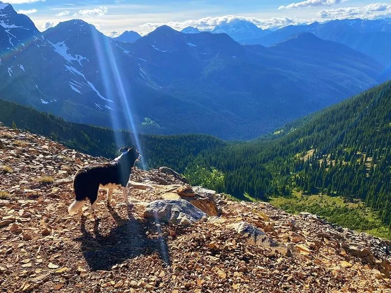 North Cascades National Park