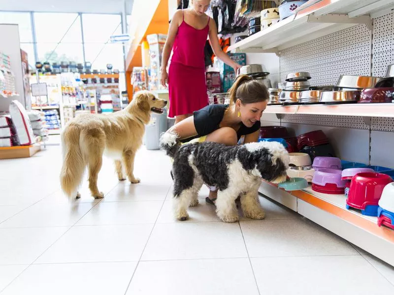 Dogs shopping for pet supplies