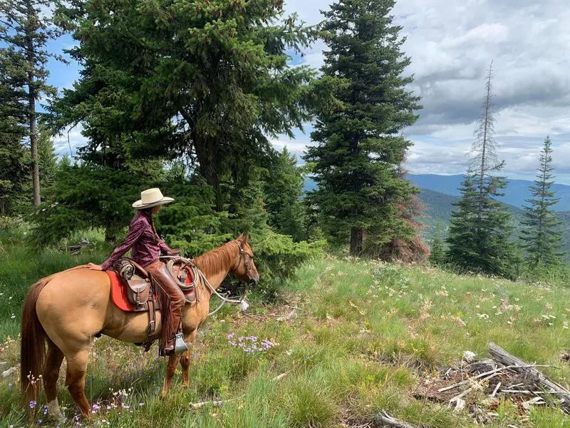 McGinnis Meadows Cattle & Guest Ranch