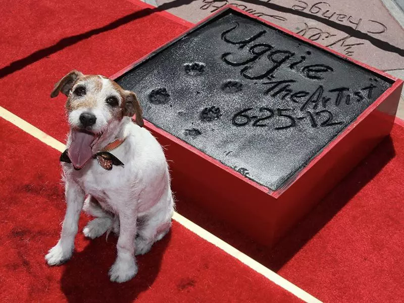 Uggie