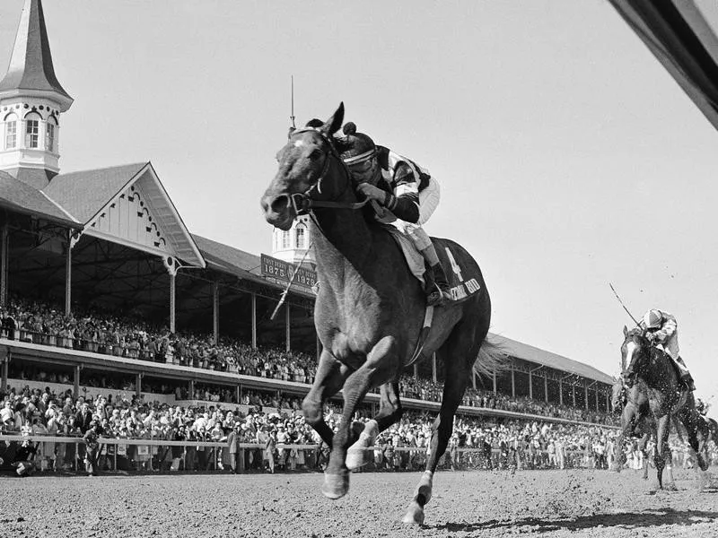 Spectacular Bid