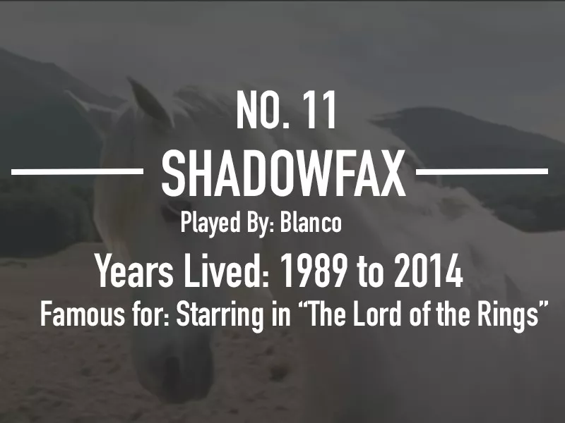 Shadowfax