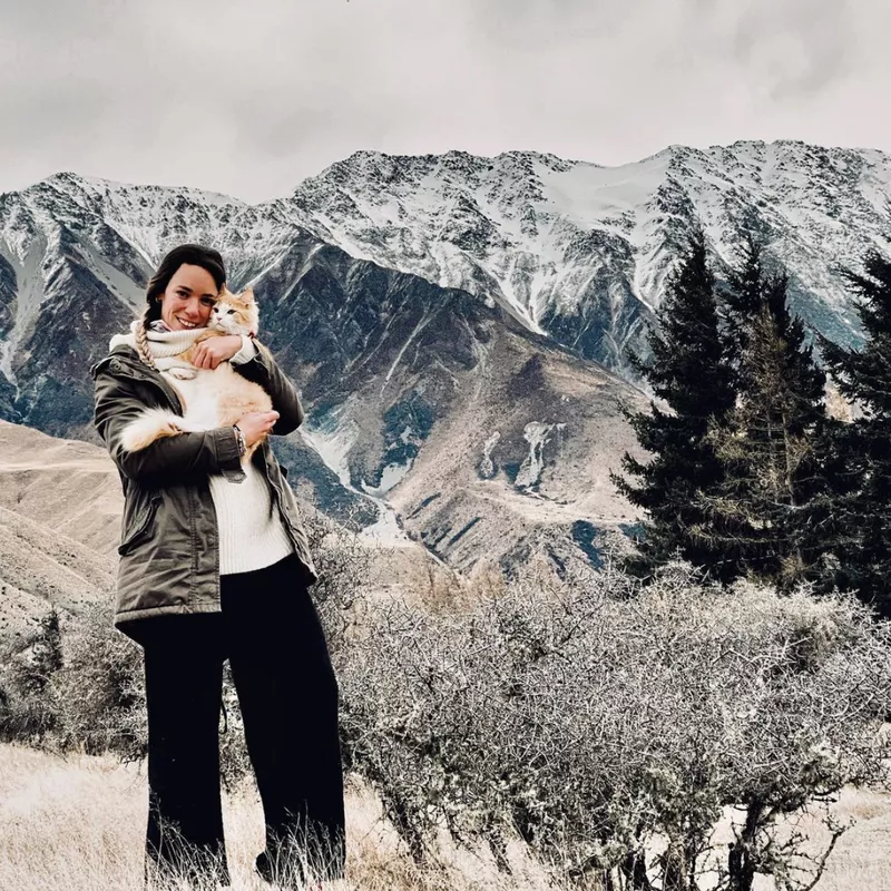 Cat in Mount Cook National Park, New Zealand