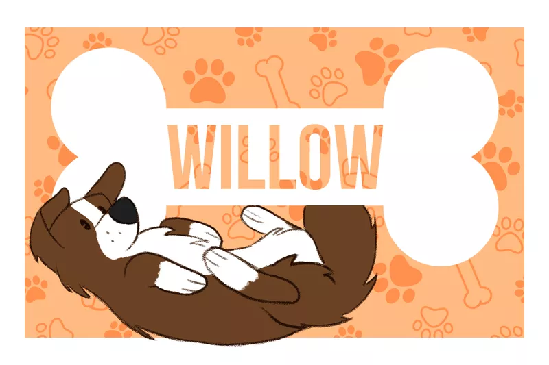 Willow