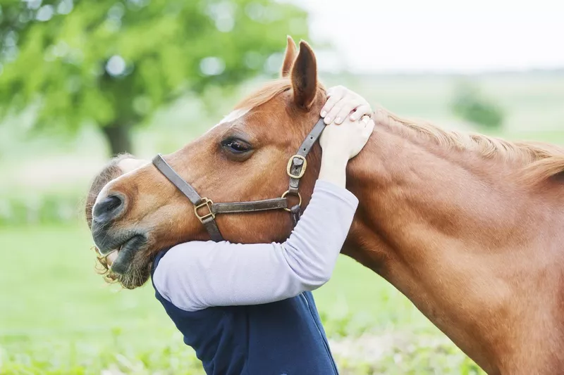 Female veterinarian performing chiropractics