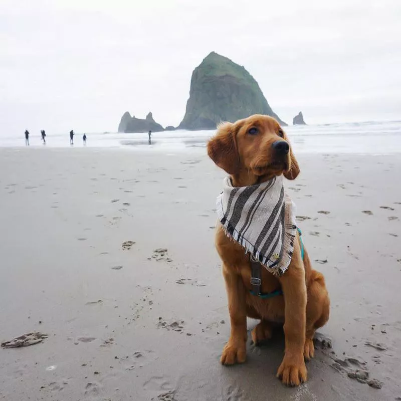 Cannon Beach, Oregon