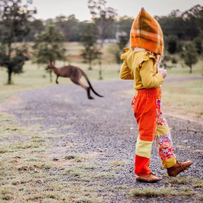 Kangaroo photobomb