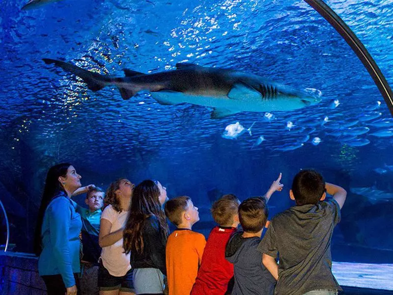 Sea Life Minnesota Aquarium