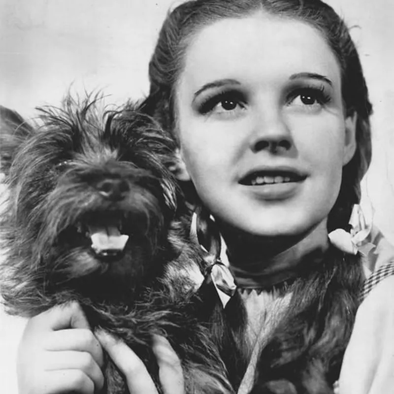 Dorothy and her dog Toto in 