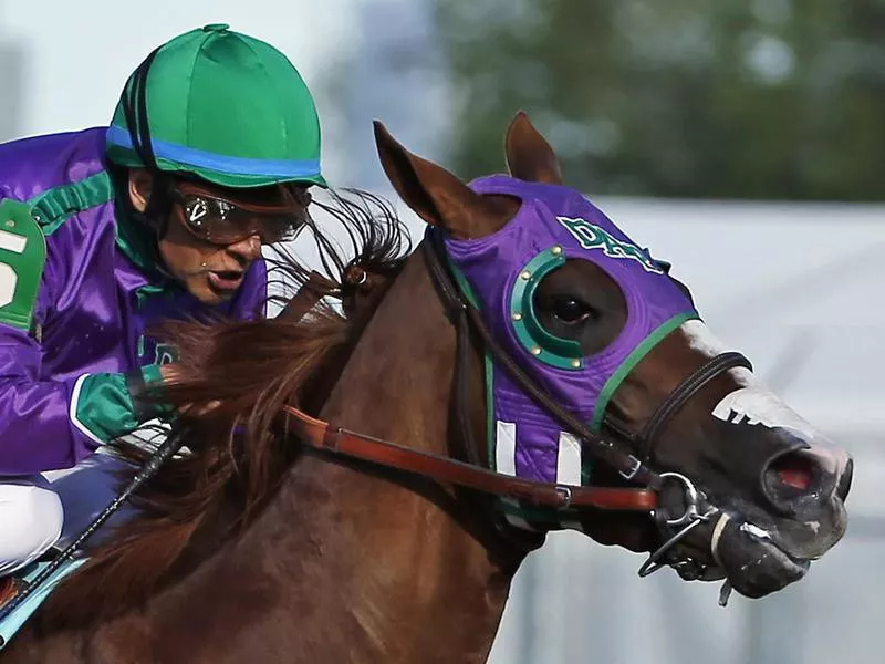 California Chrome