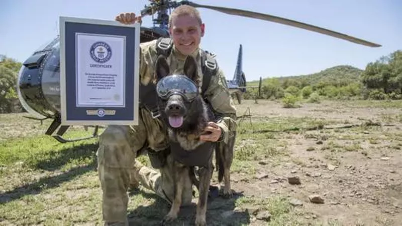 Arrow the skydiving anti-poaching dog