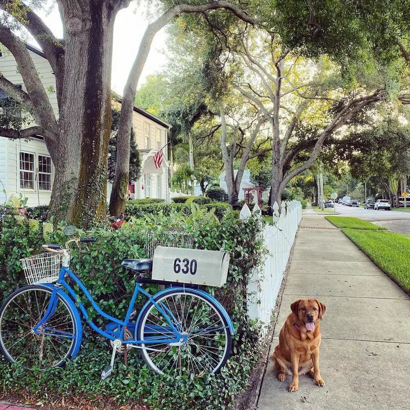 St. Petersburg, Florida