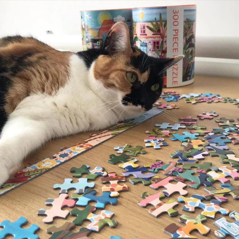 jigsaw puzzle