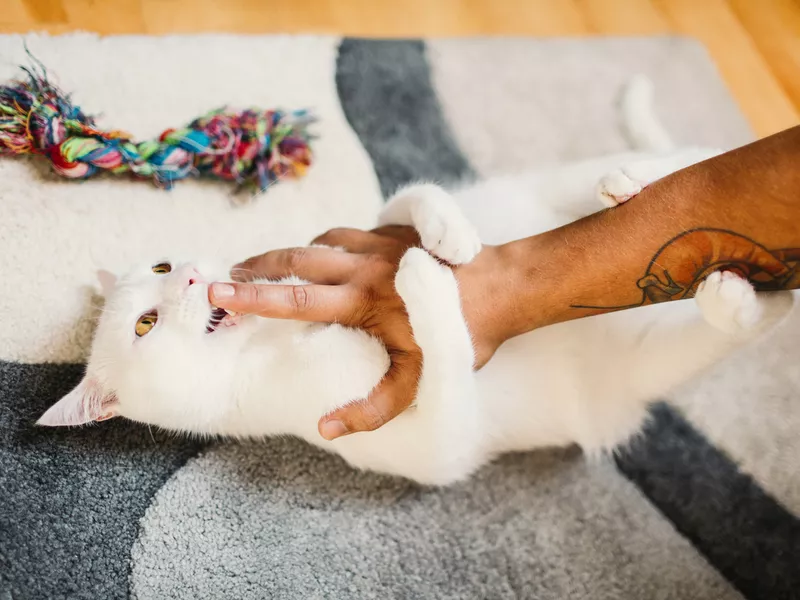 Man cuddling with his cat