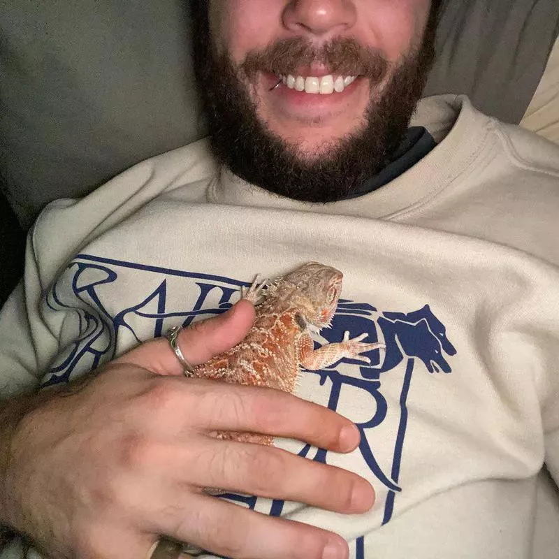 Pet bearded dragon