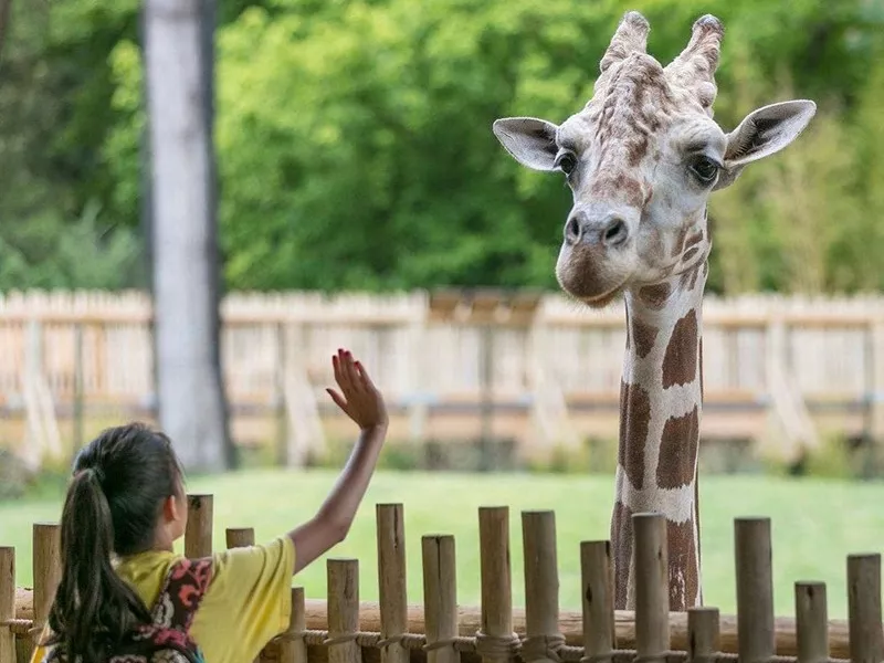 Fort Worth Zoo