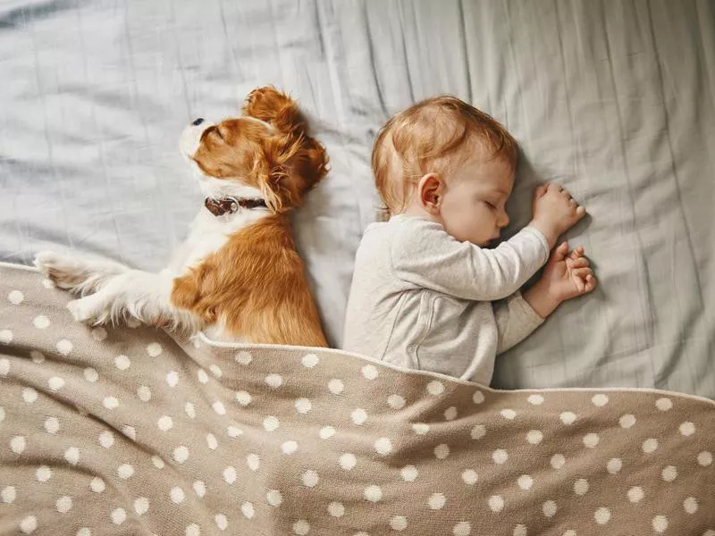 baby and his puppy sleeping peacefully