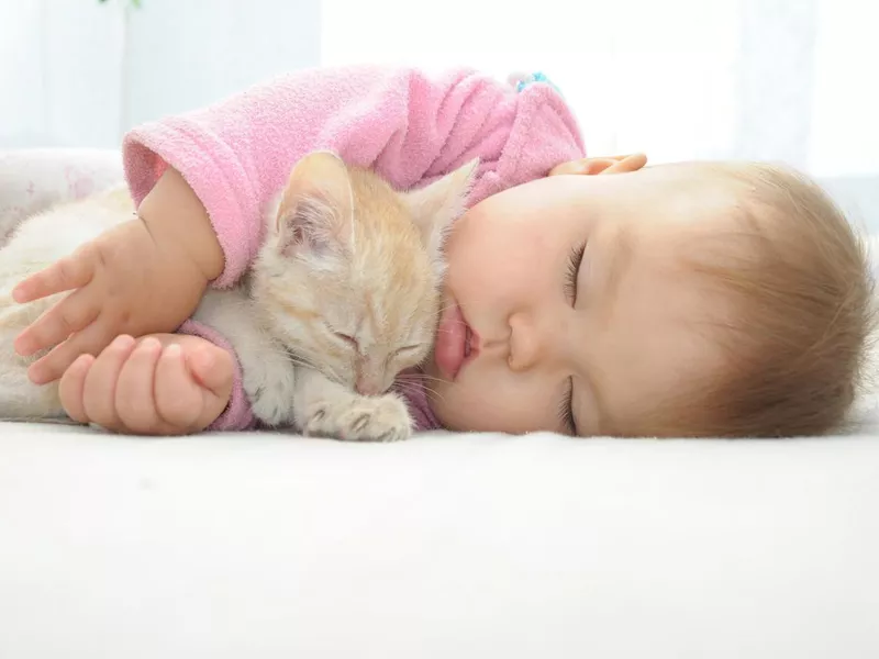 Baby and cat sleeping together