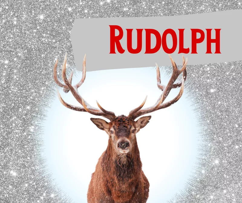 Rudolph