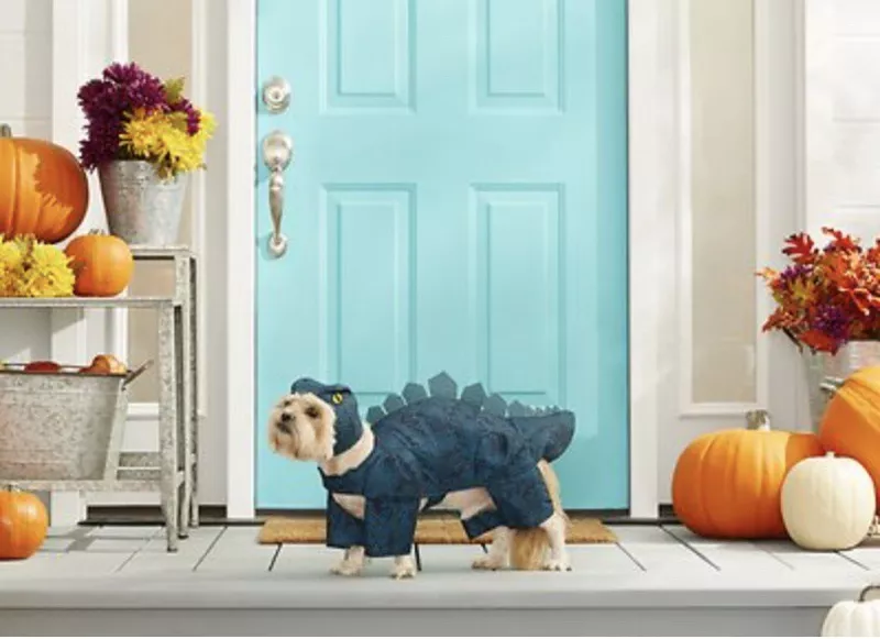 Frisco stegosaurus dinosaur dog costume