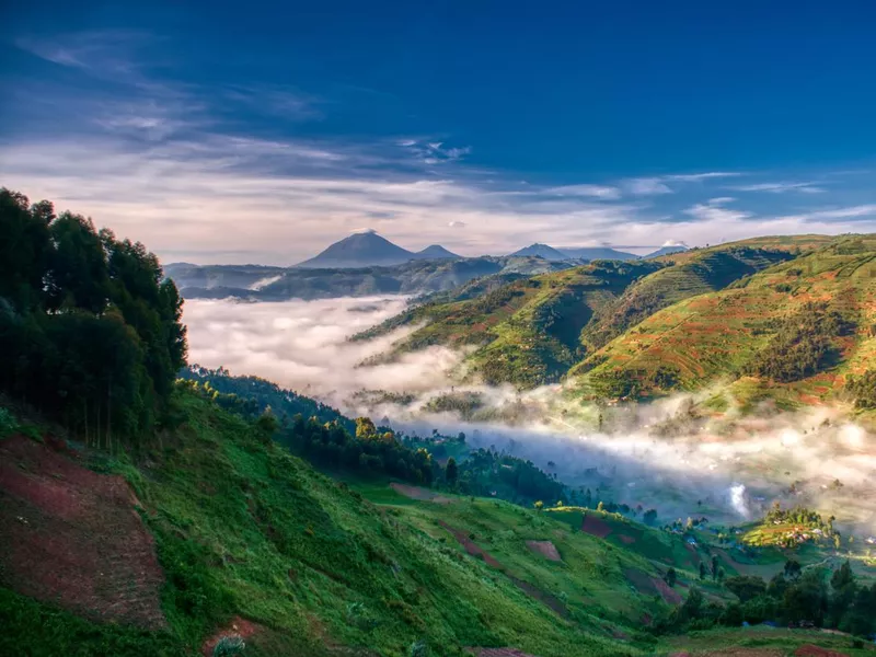 Morning farmland green of Uganda with volcanoes in background