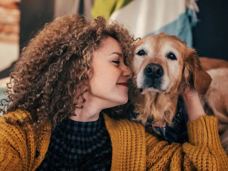 Golden retrievers don't like being left alone