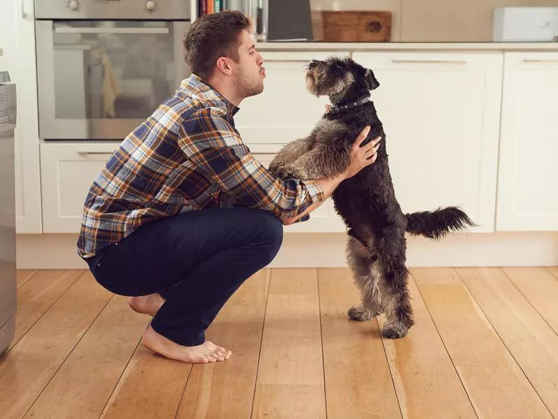 Man playing with dog