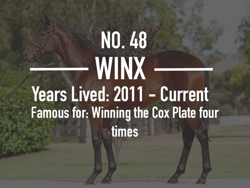 Winx