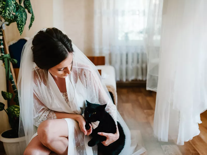 Black cat wearing white bow tie