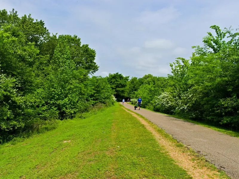 People Walk in the Park